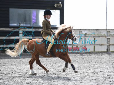 PBP_1131