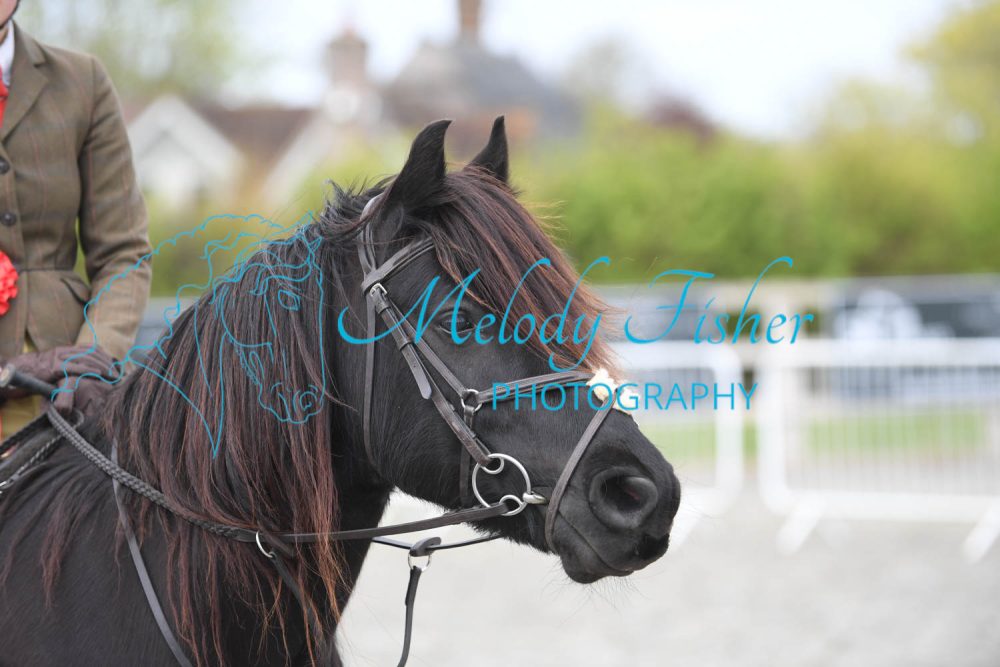 PBP_0833
