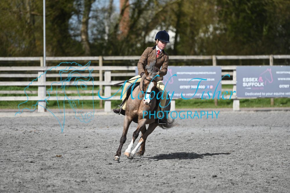 MFP_0219