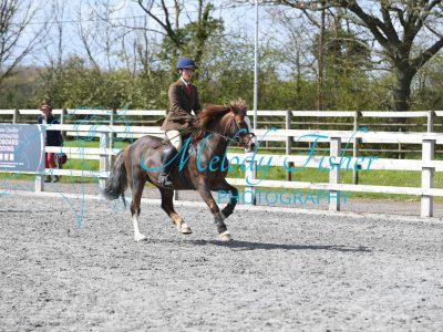 PBP_1291