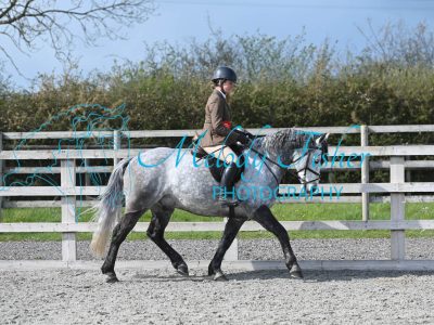 MFP_0375