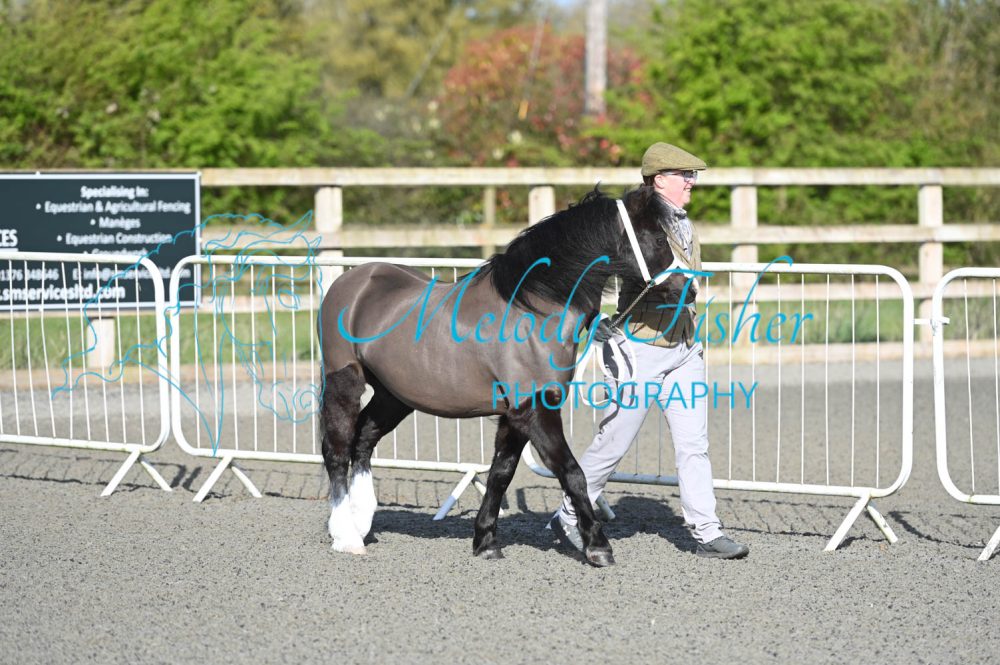 MFP_8966