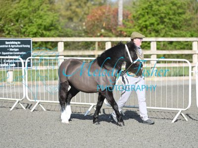 MFP_8966