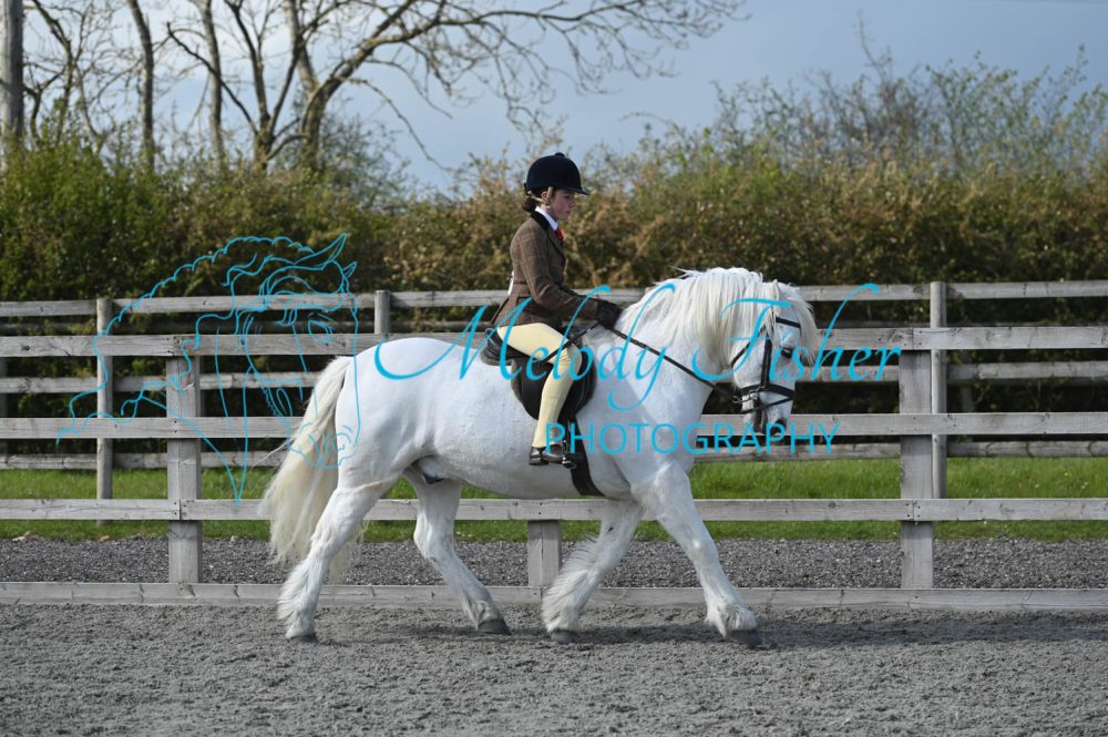 MFP_0377