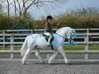 MFP_0377