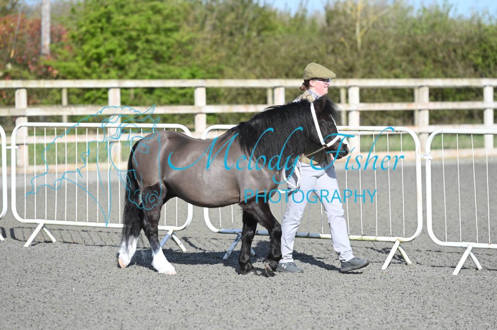 MFP_8967
