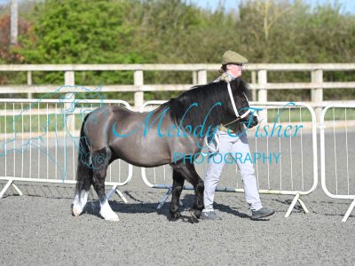 MFP_8967