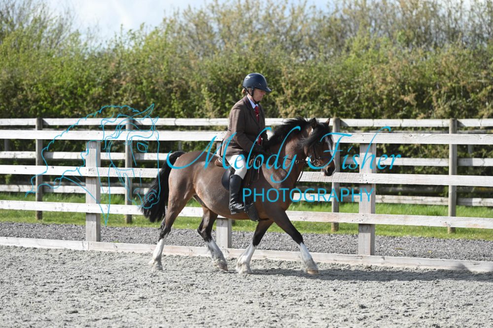 MFP_0378