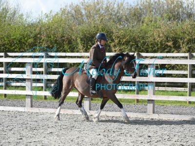 MFP_0378