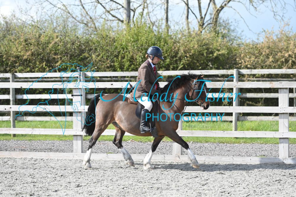 MFP_0379
