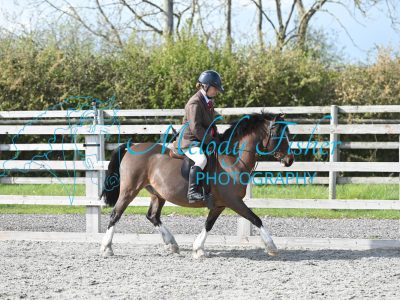 MFP_0379