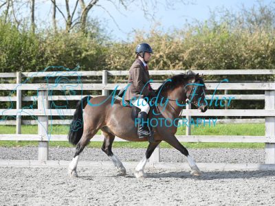 MFP_0380