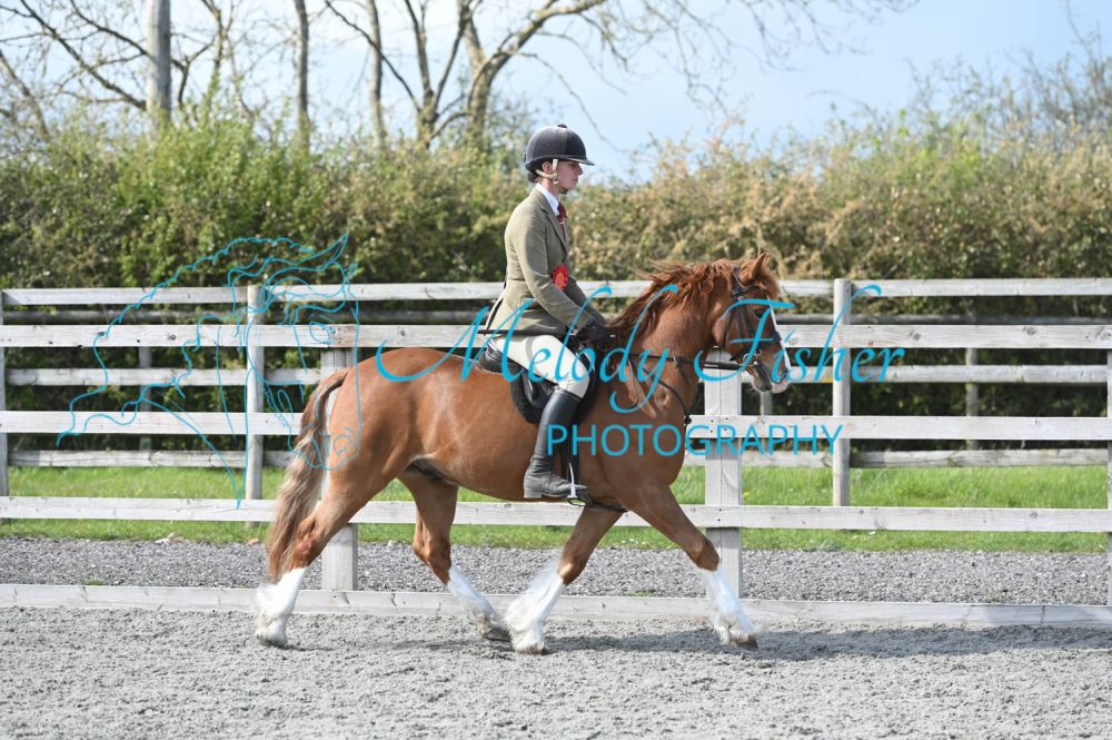 MFP_0382