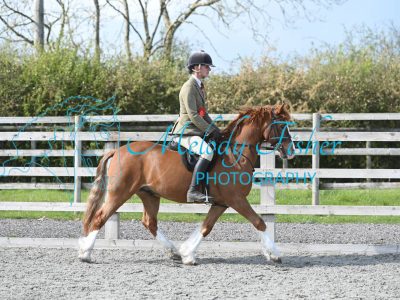 MFP_0382