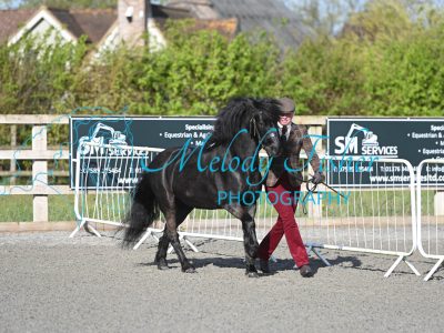 MFP_8973