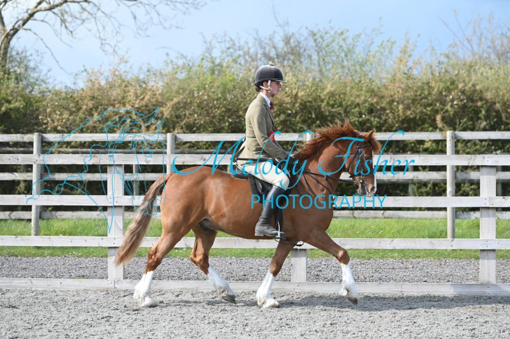 MFP_0383