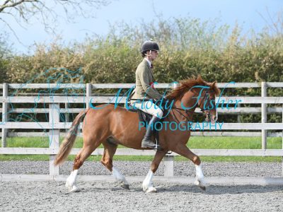 MFP_0383