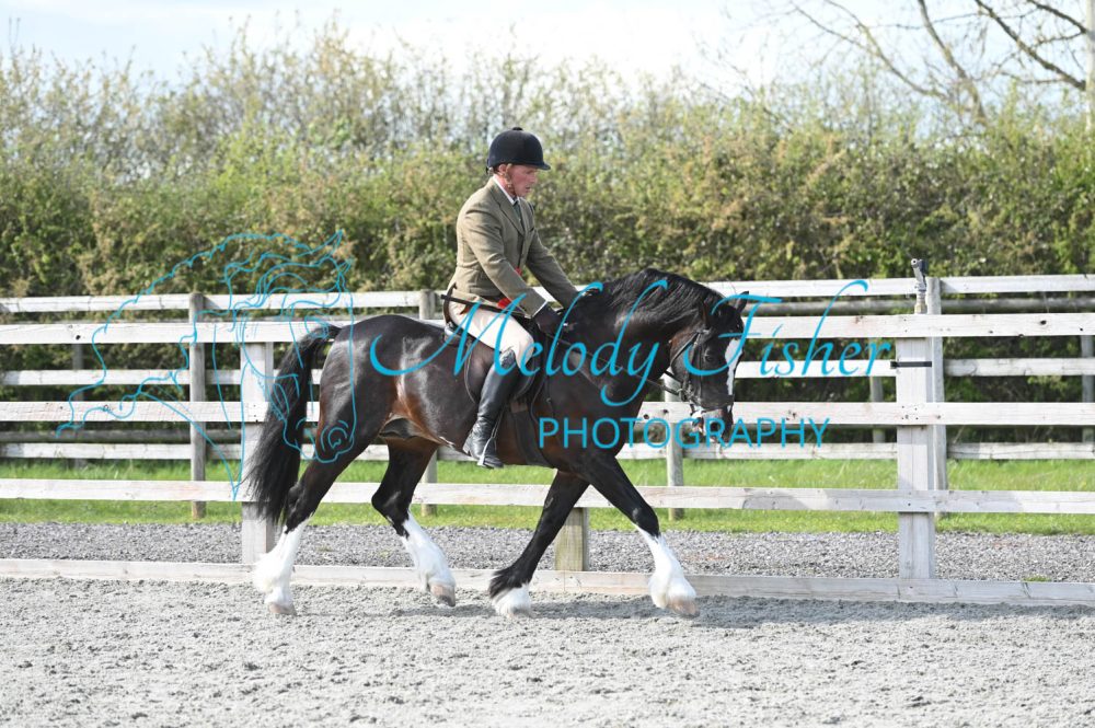 MFP_0384