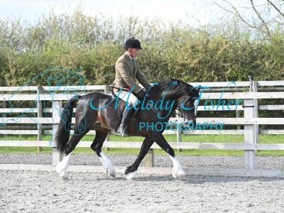 MFP_0384