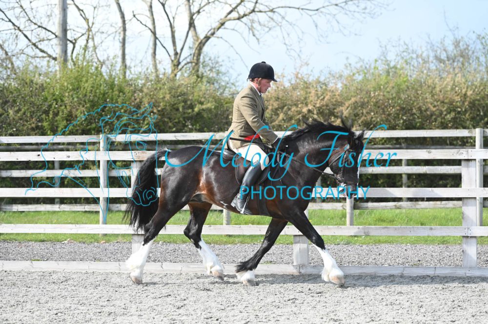 MFP_0385