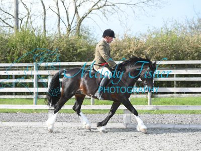 MFP_0385