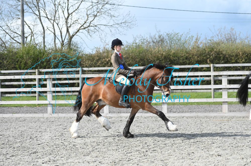 MFP_0386