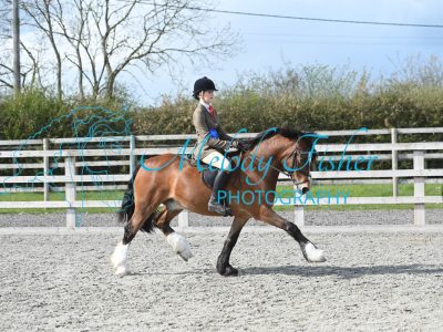 MFP_0386