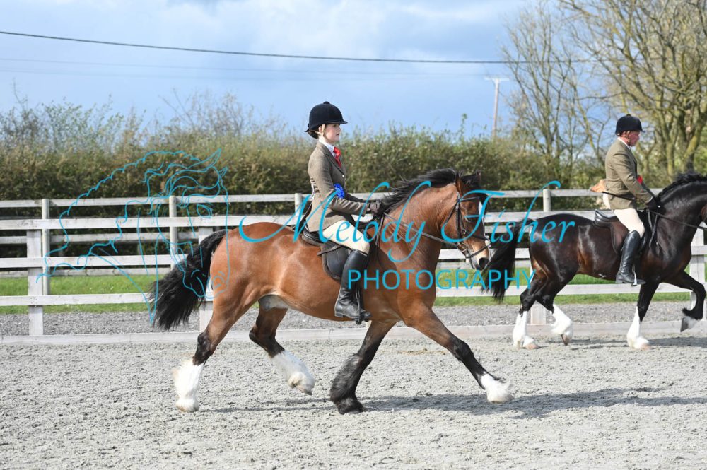 MFP_0387