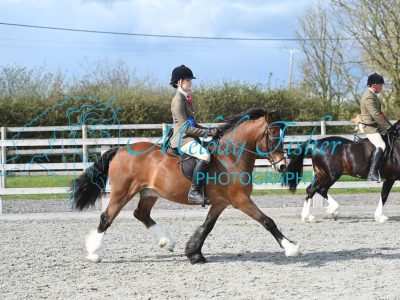 MFP_0387