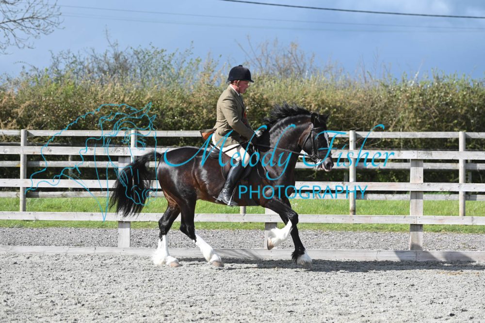 MFP_0389
