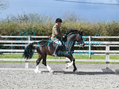 MFP_0389