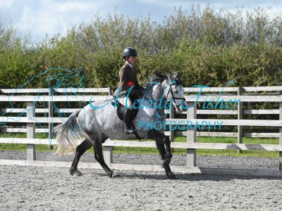 MFP_0390