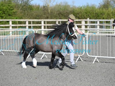 MFP_8983