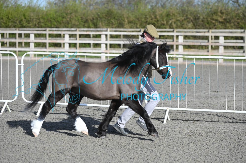 MFP_8984
