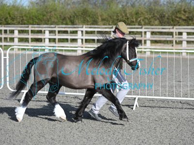 MFP_8984