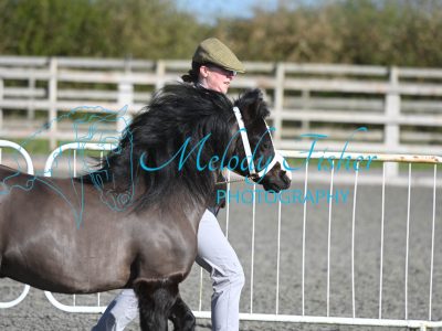 MFP_8985