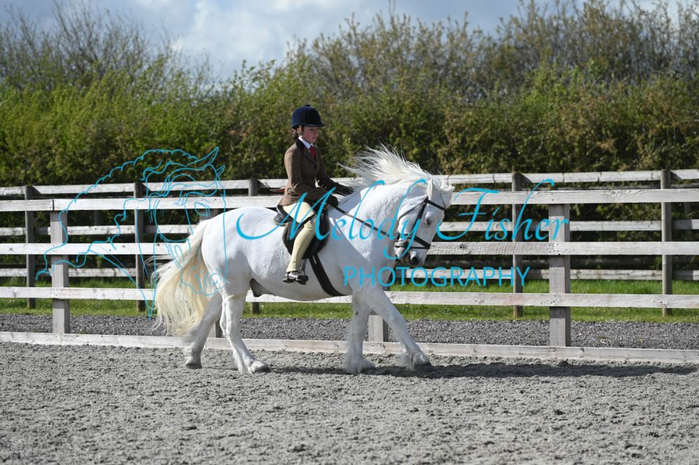MFP_0393