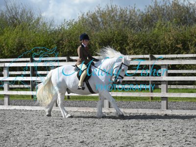 MFP_0393