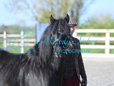 MFP_8987