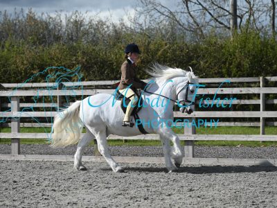 MFP_0394