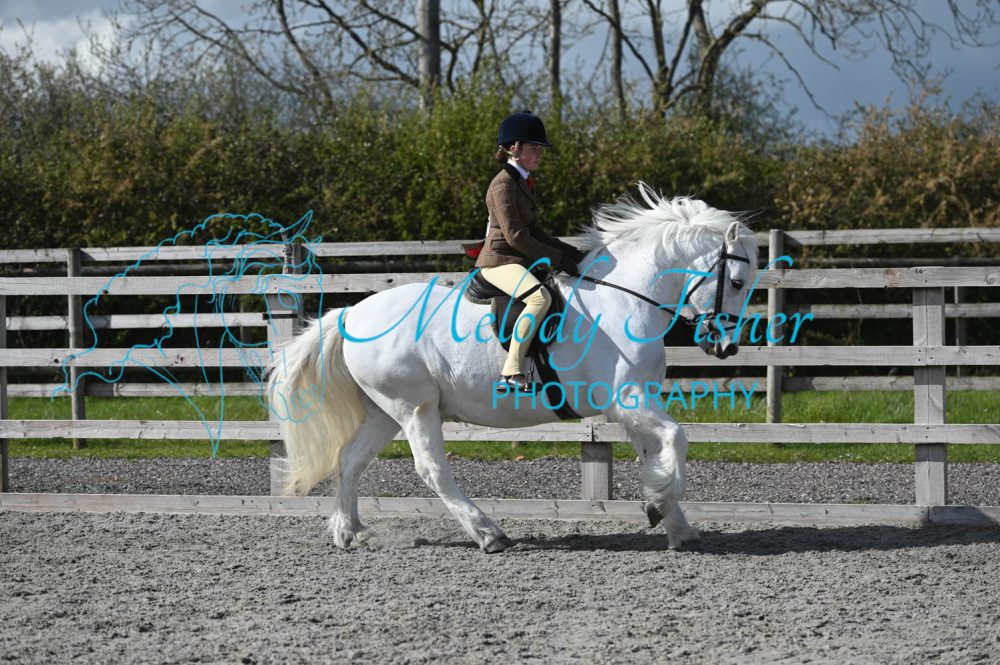 MFP_0395