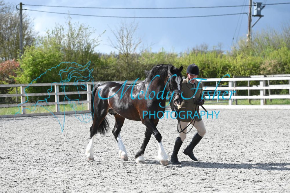 MFP_0334