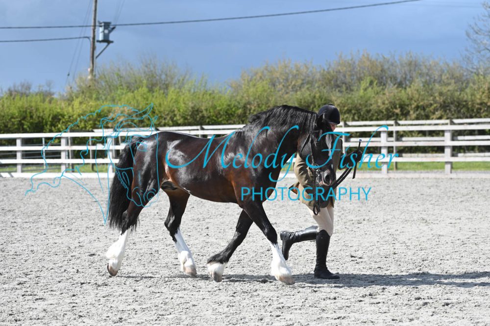 MFP_0335