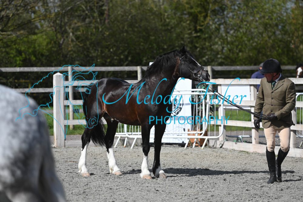 MFP_0337