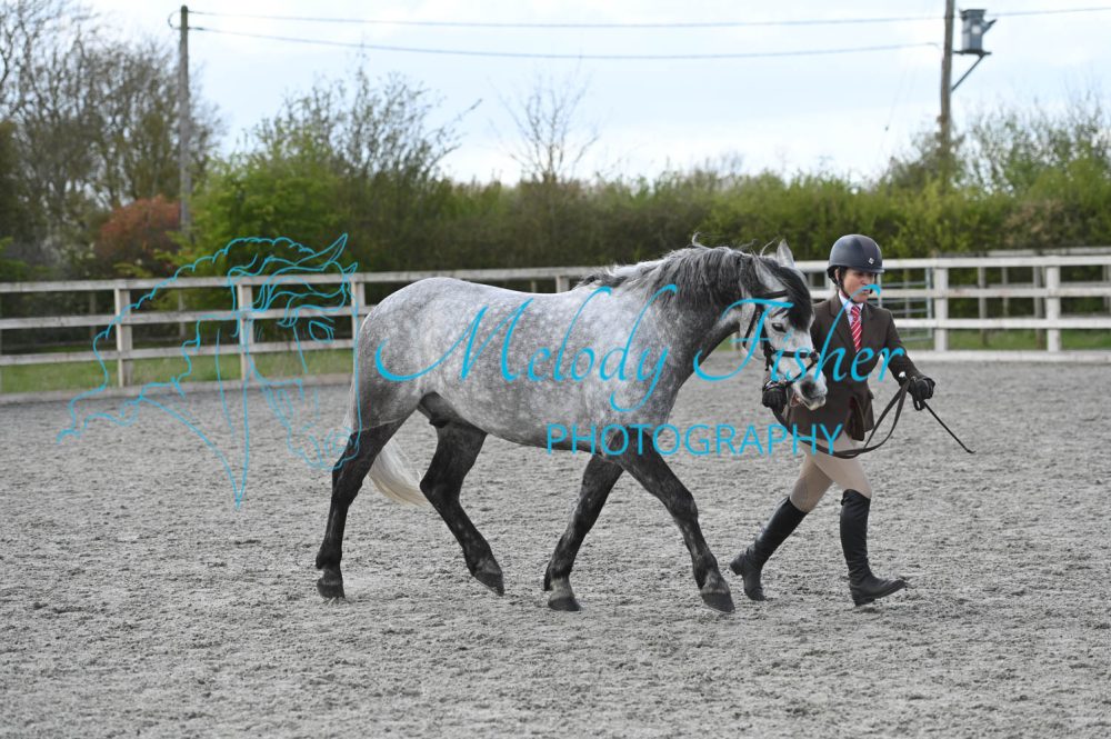 MFP_0274