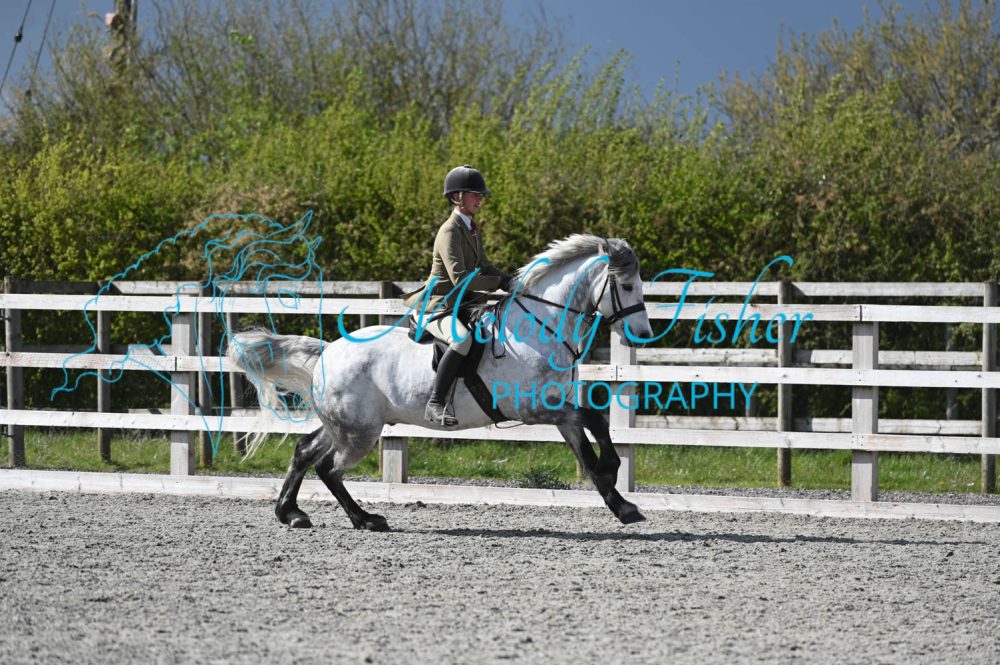 MFP_0339