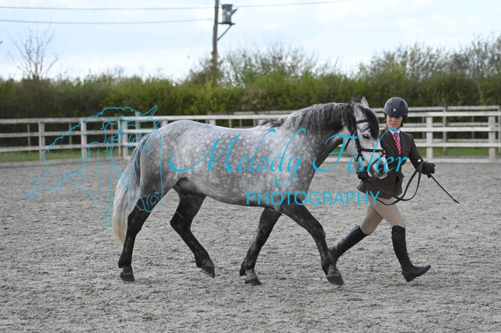 MFP_0275