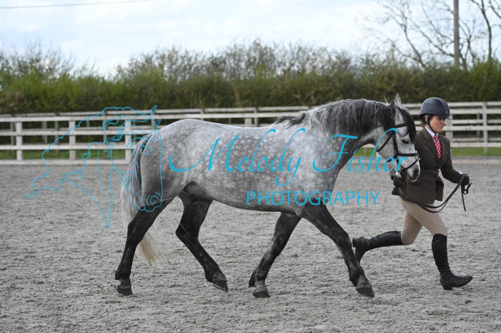 MFP_0276