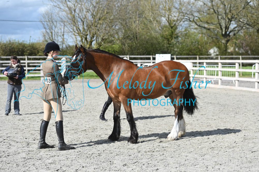 MFP_0343
