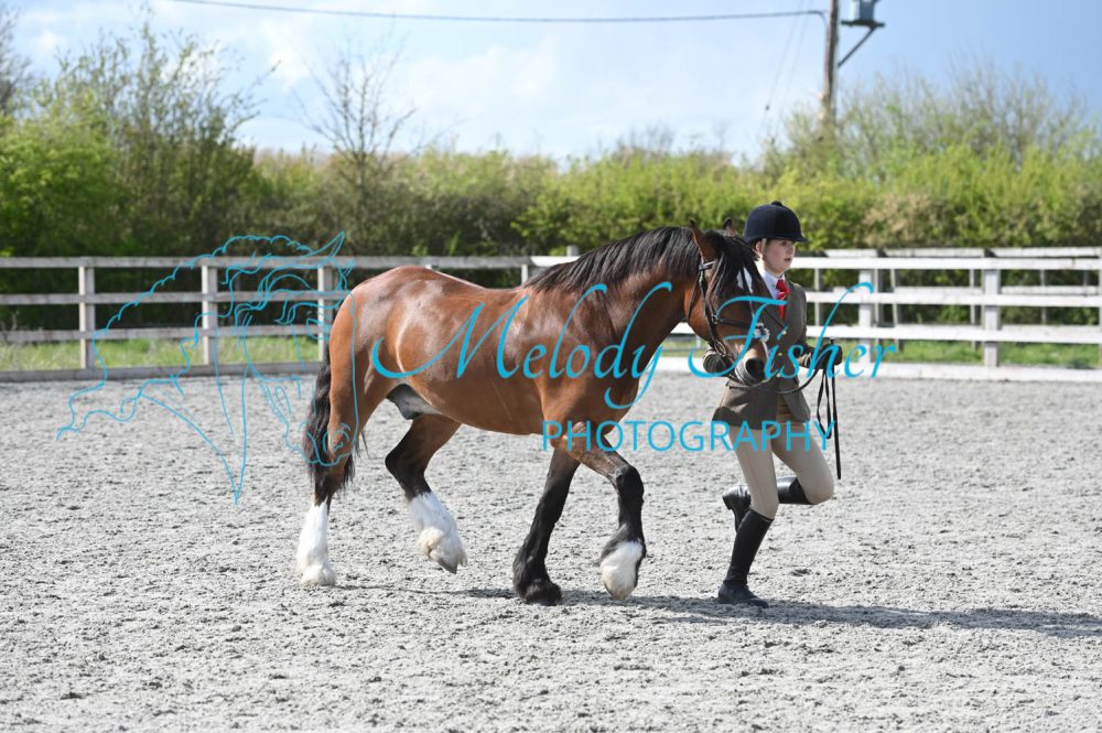 MFP_0345
